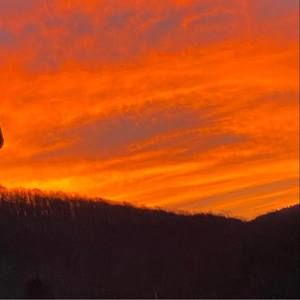 Meet your Posher, Jaimie